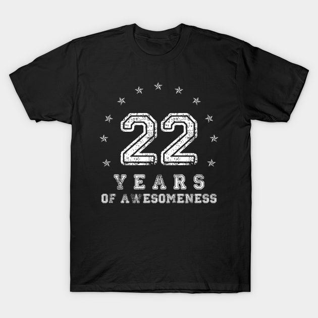 Vintage 22 years of awesomeness T-Shirt by opippi